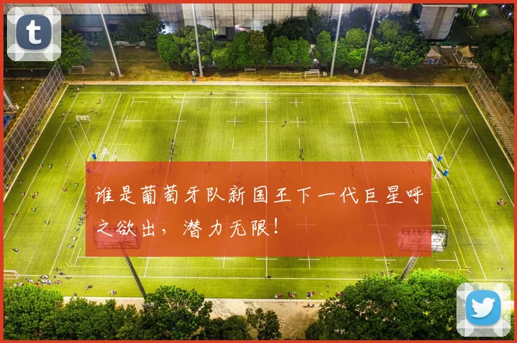 谁是葡萄牙队新国王下一代巨星呼之欲出，潜力无限！