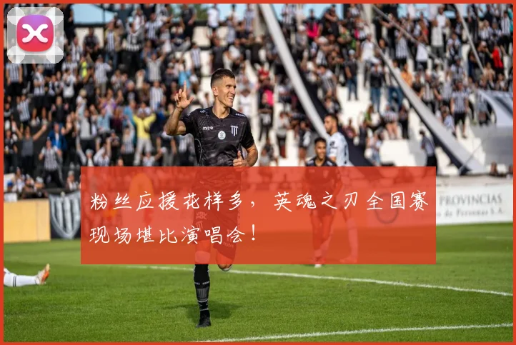 粉丝应援花样多，英魂之刃全国赛现场堪比演唱会！