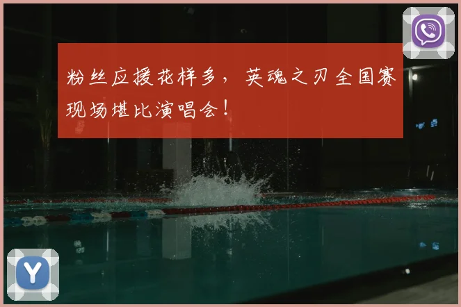 粉丝应援花样多，英魂之刃全国赛现场堪比演唱会！