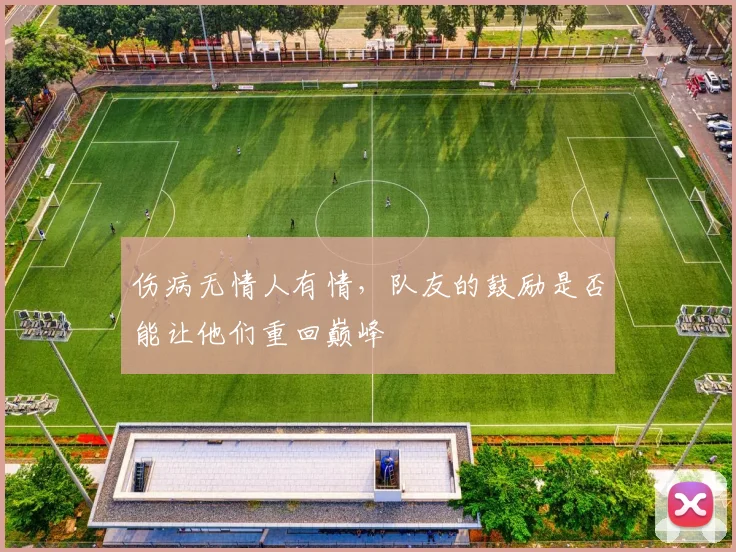 伤病无情人有情,队友的鼓励是否能让他们重回巅峰
